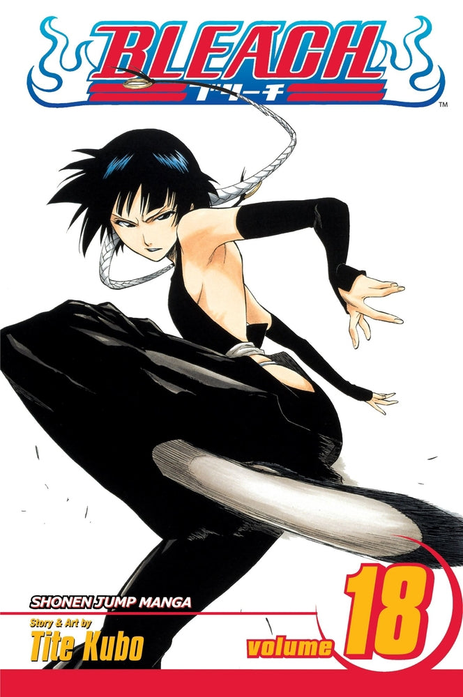 Bleach vol 18