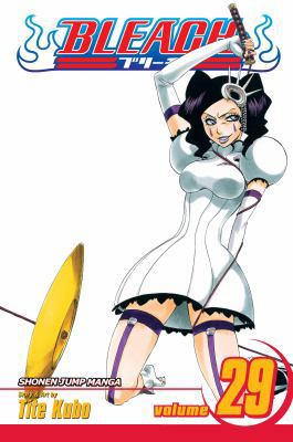 Bleach vol 29