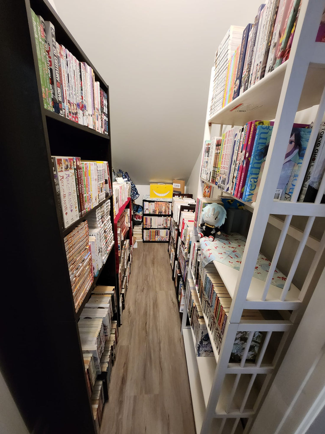 Why Choose Read Left Over Other Manga Stores?