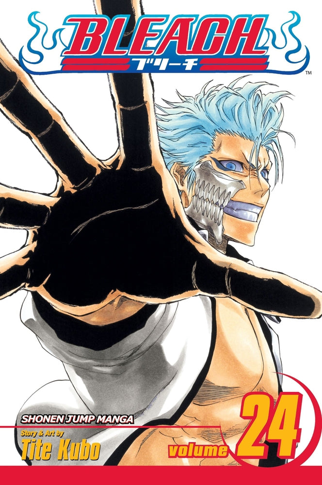 Bleach vol 24
