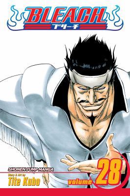 Bleach vol 28