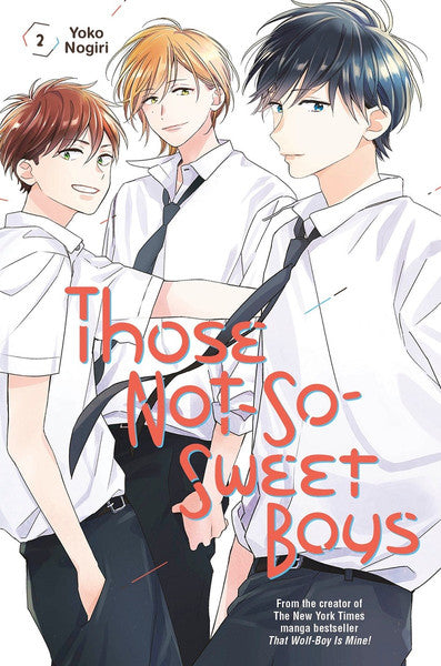 Those Not-So-Sweet Boys vol 02